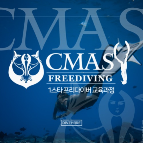 [프리다이빙] CMAS LV.2 원 스타 과정