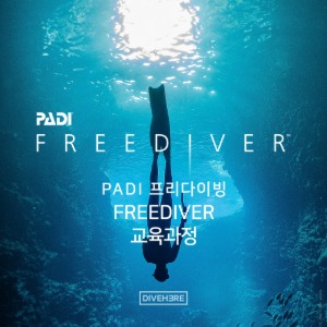 [프리다이빙] PADI LV.2 프리다이버 과정