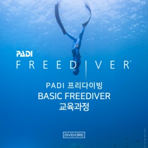 [프리다이빙] PADI LV.1 베이직 과정