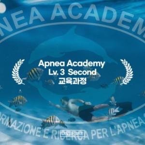 [프리다이빙] Apnea Academy LV.3 Second 교육과정