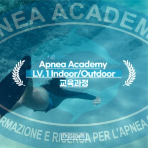[프리다이빙] Apnea Academy LV.1 Indoor/Outdoor 교육과정